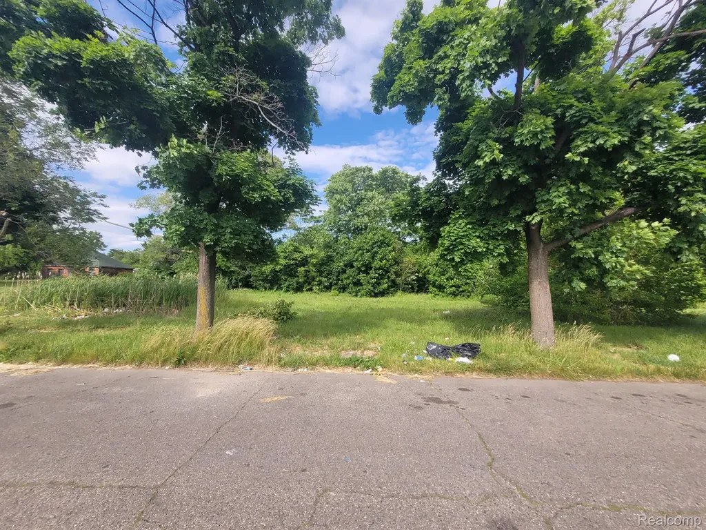 4804 Sheridan Street Detroit City MI 48214