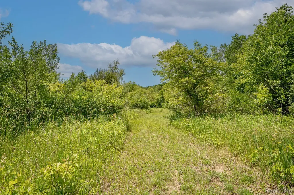 Ville Fosland Farms Drive Rives Township MI 49201