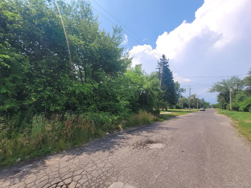 9585 Iris Street Detroit City MI 48227
