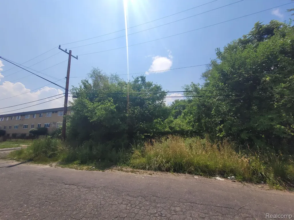 9585 Iris Street Detroit City MI 48227
