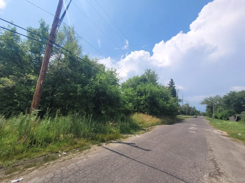 9585 Iris Street Detroit City MI 48227