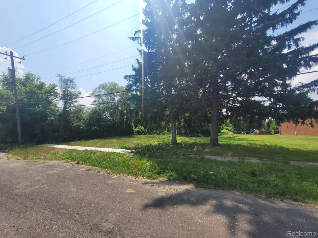 9585 Iris Street Detroit City MI 48227