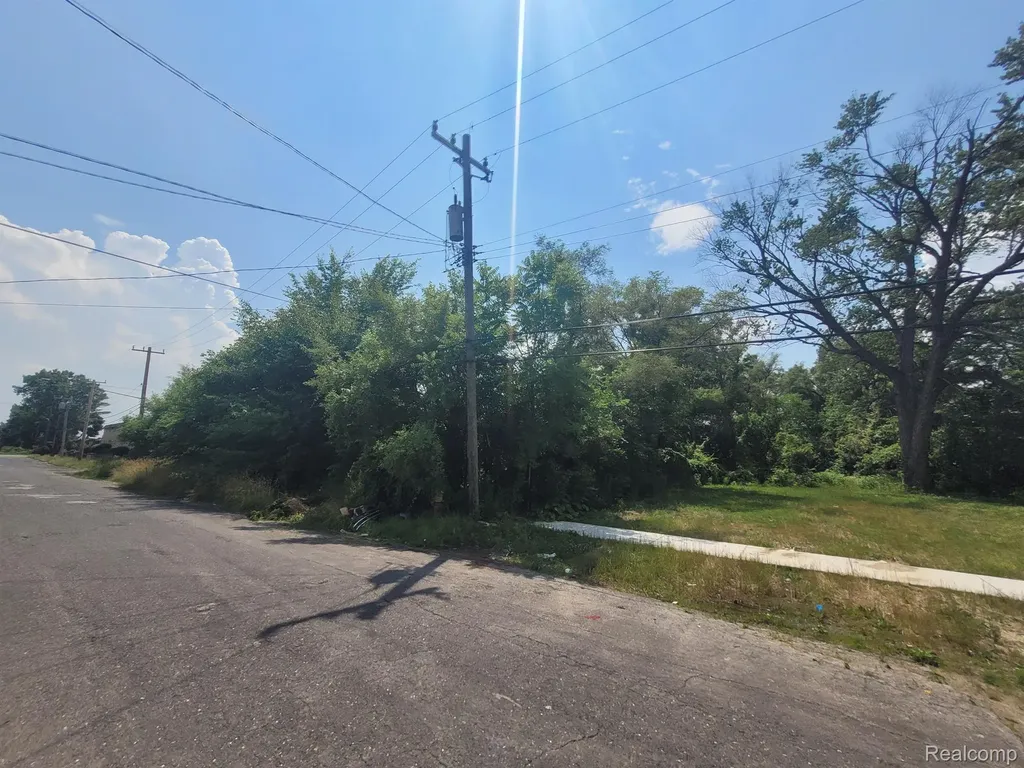 9585 Iris Street Detroit City MI 48227
