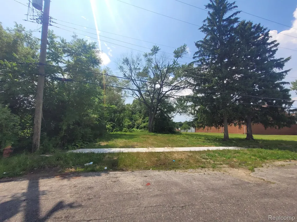 9585 Iris Street Detroit City MI 48227