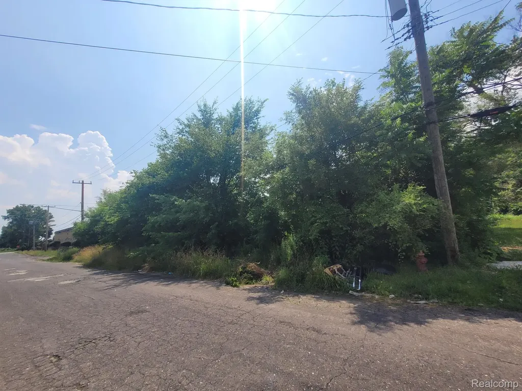 9585 Iris Street Detroit City MI 48227