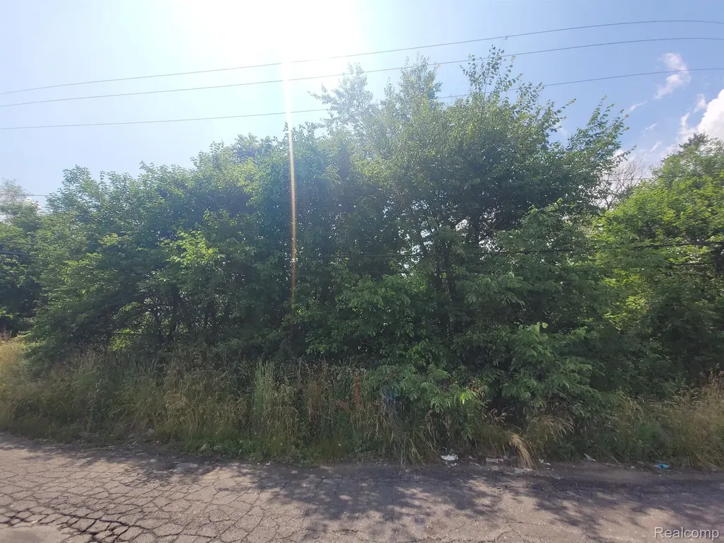9585 Iris Street Detroit City MI 48227