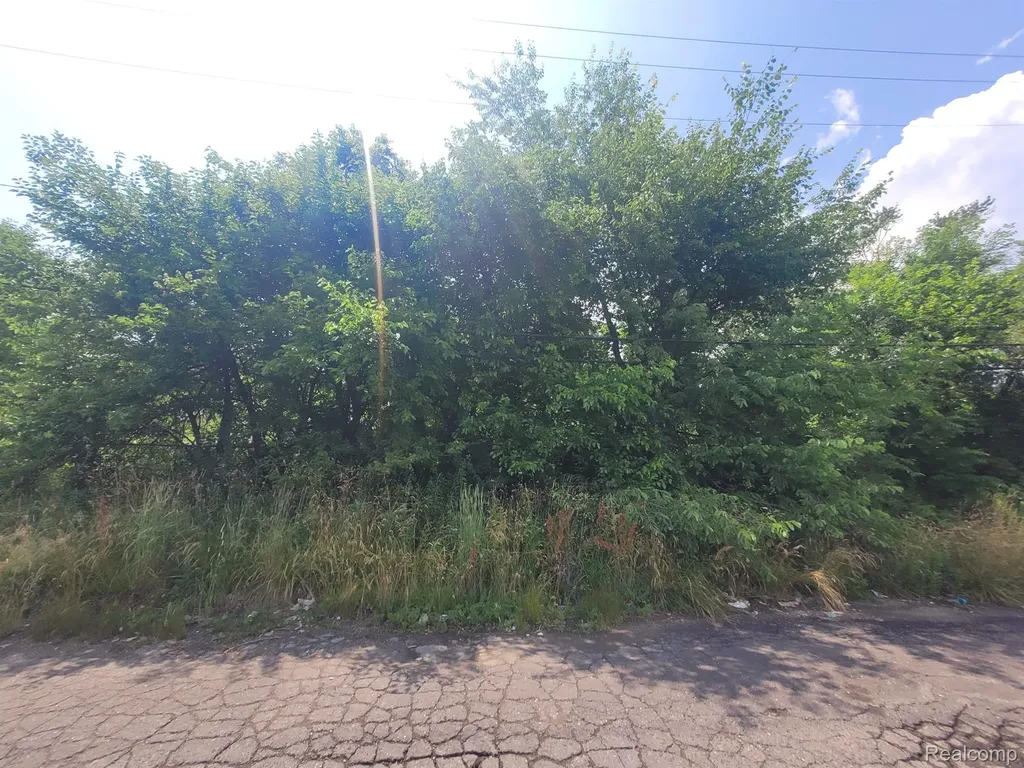 9585 Iris Street Detroit City MI 48227