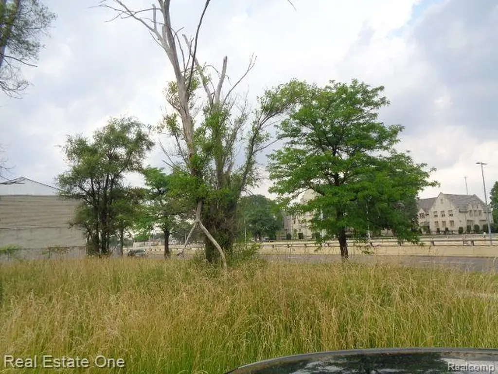 18553 James Couzens Freeway Detroit City MI 48235