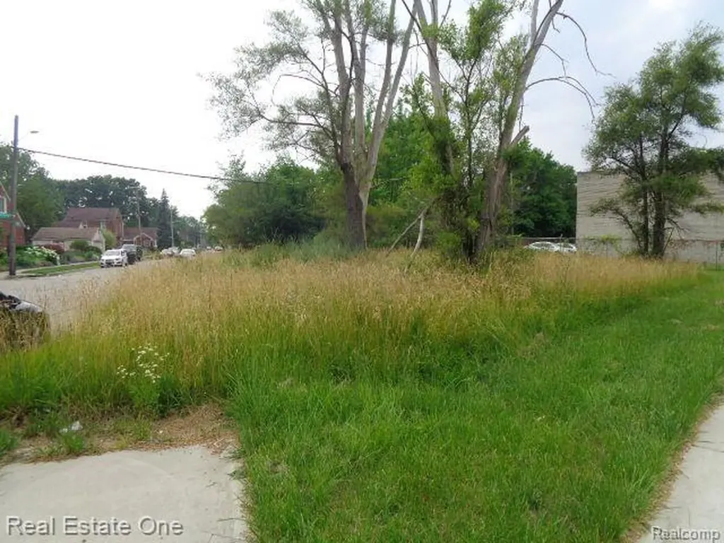 18553 James Couzens Freeway Detroit City MI 48235