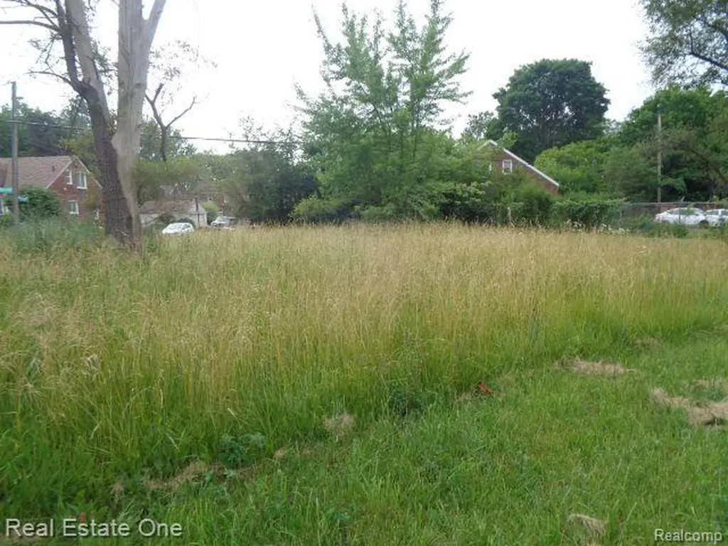 18553 James Couzens Freeway Detroit City MI 48235