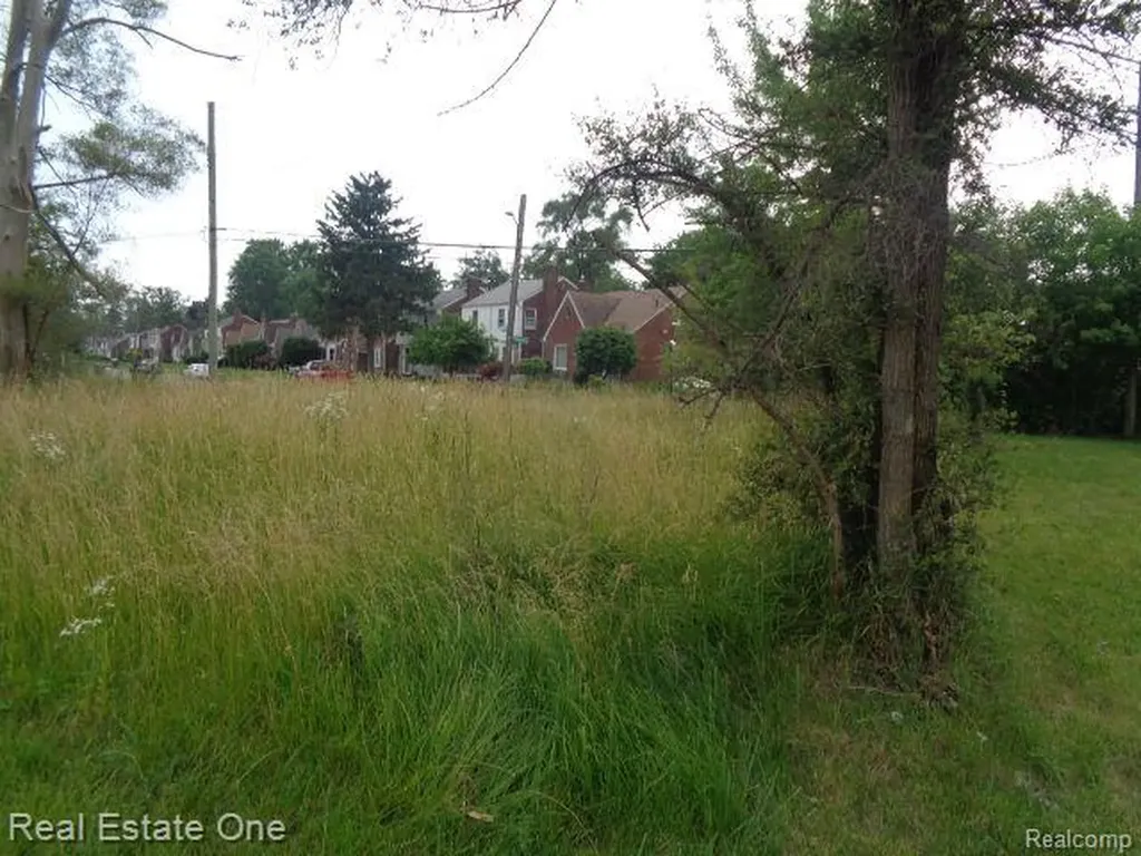 18553 James Couzens Freeway Detroit City MI 48235