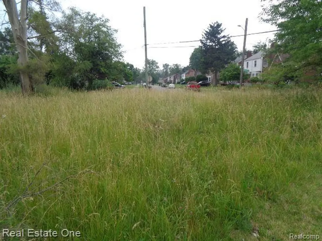 18553 James Couzens Freeway Detroit City MI 48235