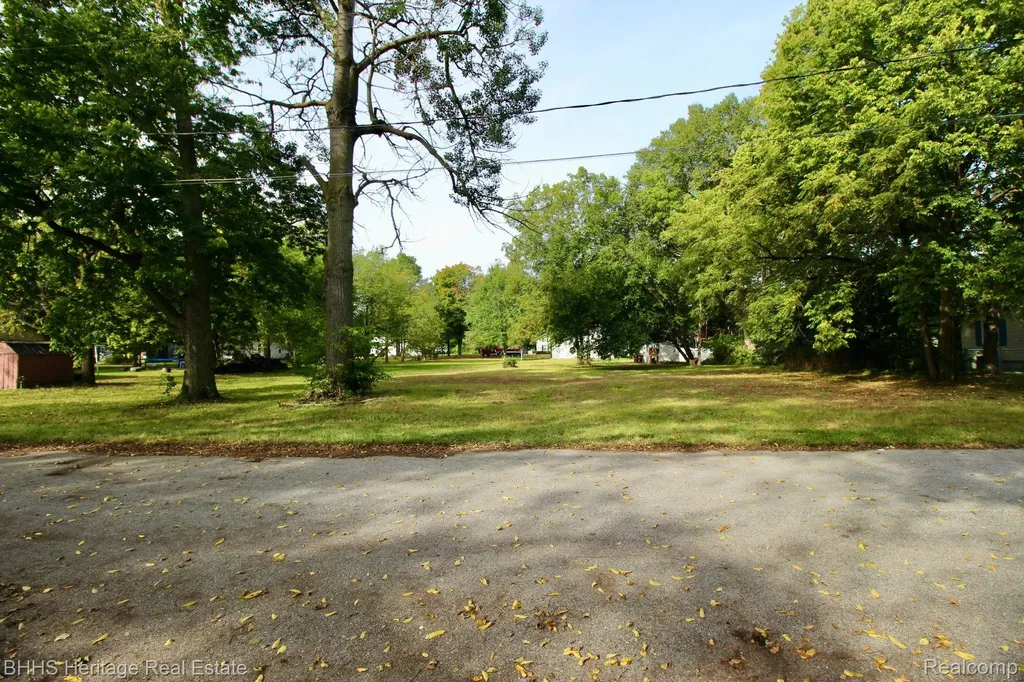 119 Andres Street Chesaning Village MI 48616