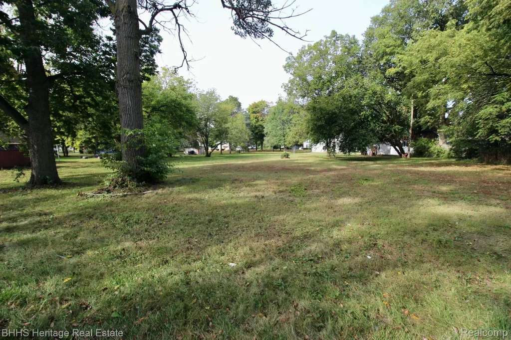 119 Andres Street Chesaning Village MI 48616