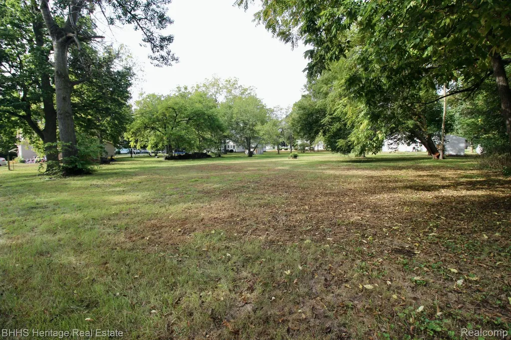 119 Andres Street Chesaning Village MI 48616