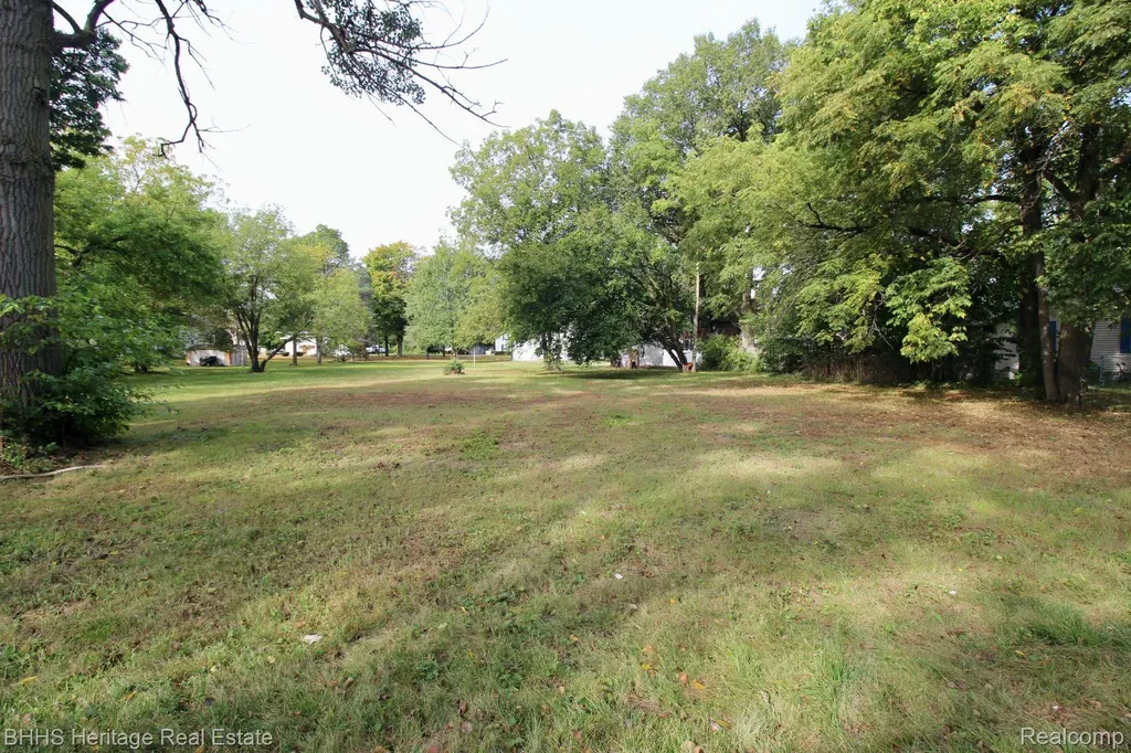 119 Andres Street Chesaning Village MI 48616