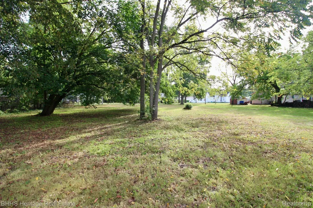 119 Andres Street Chesaning Village MI 48616
