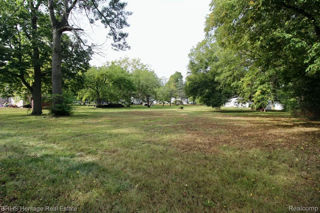 119 Andres Street Chesaning Village MI 48616