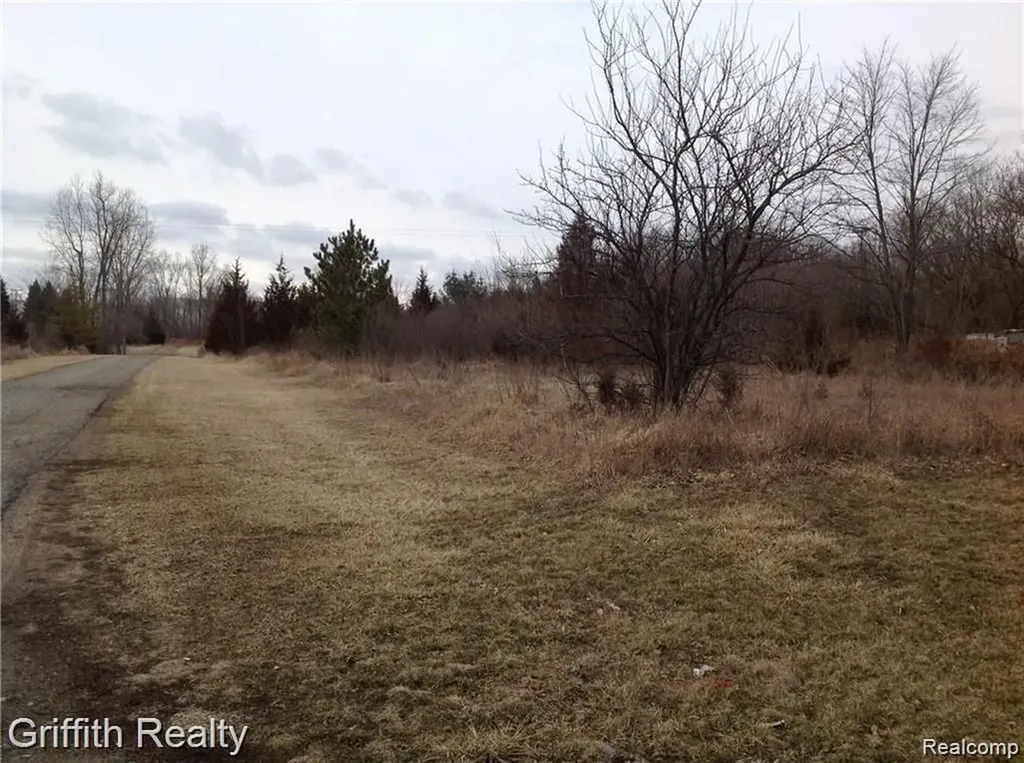 1370 Mason Road Howell Township MI 48843