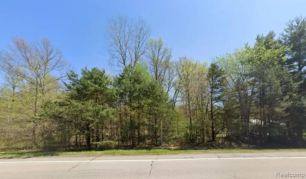 000 Graham Swan Creek Township MI 48609