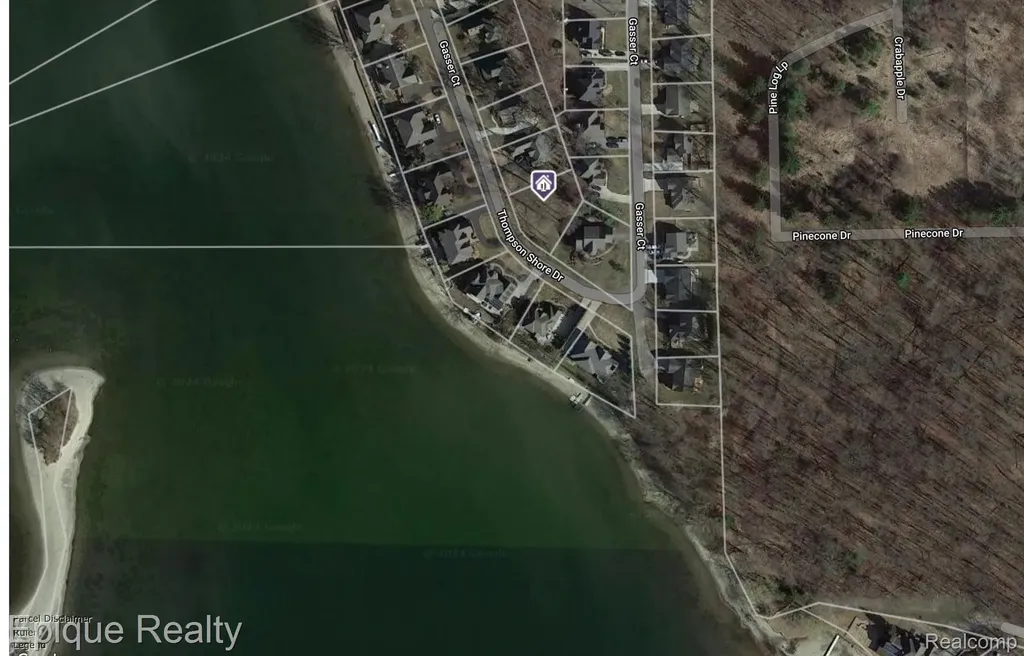 Vacant Lot Thompson Shore Drive Oceola Township MI 48843