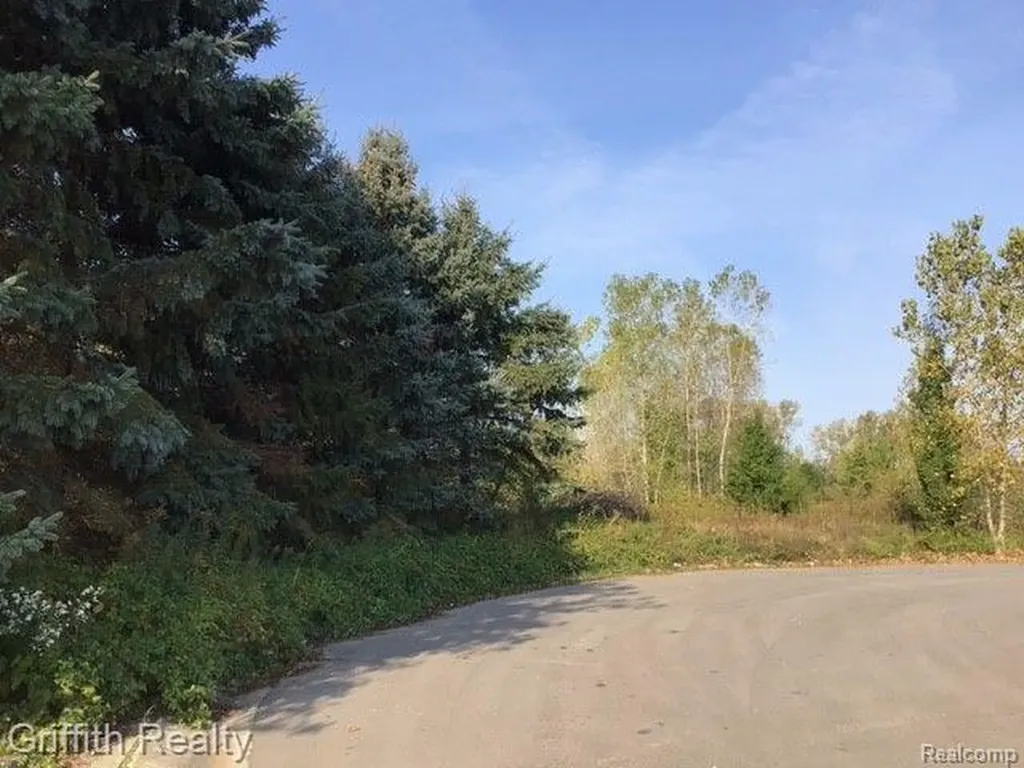00 Country Corner Drive Handy Township MI 48836