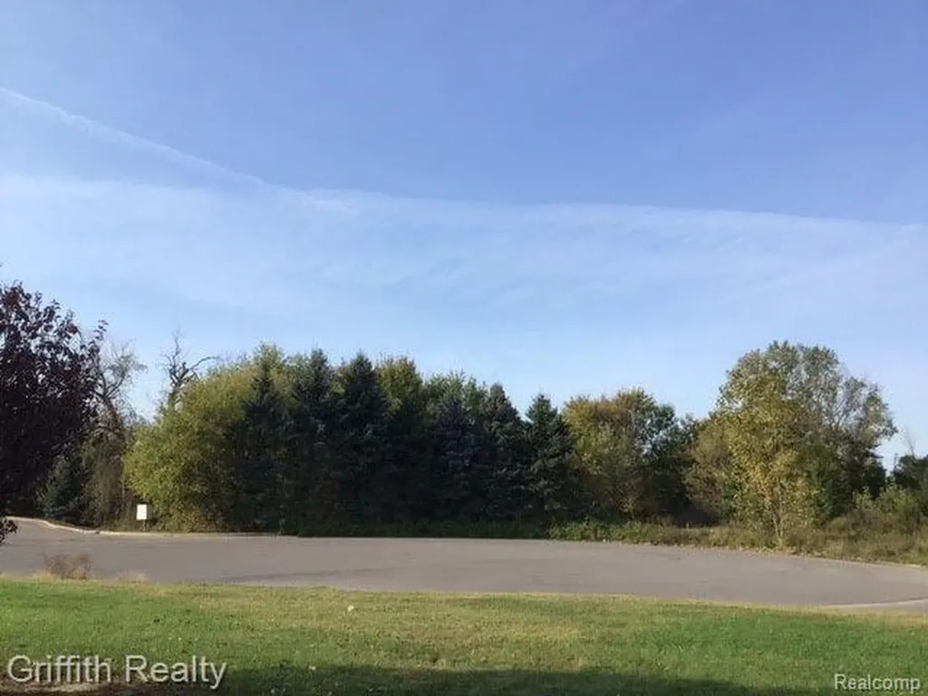 00 Country Corner Drive Handy Township MI 48836