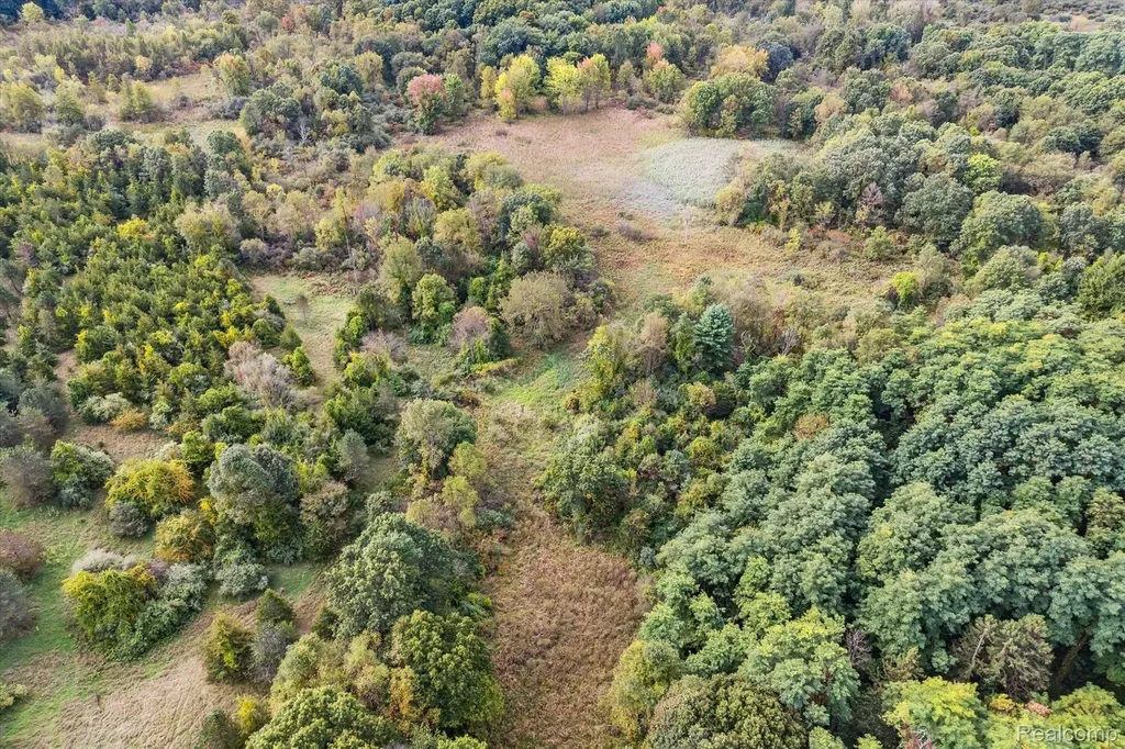 000 Swarthout Road Hamburg Township MI 48169