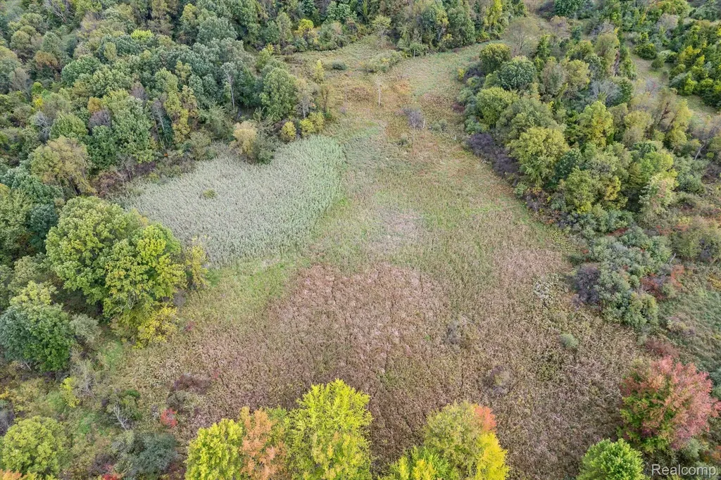 000 Swarthout Road Hamburg Township MI 48169
