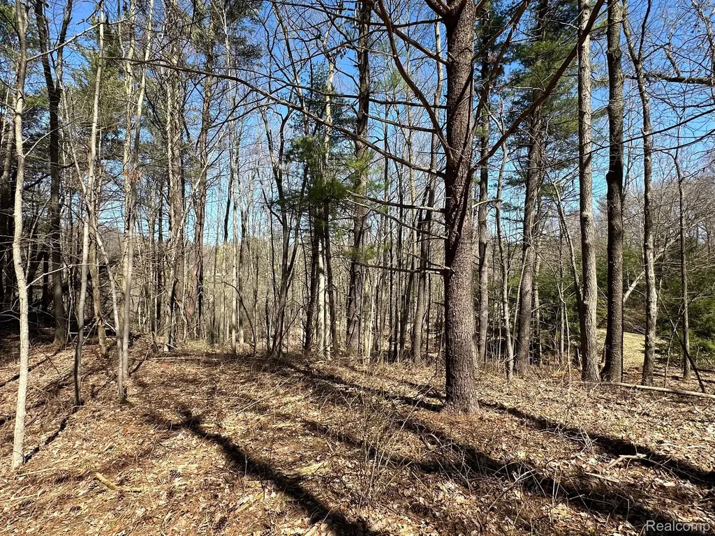 11.01 Acres Vacant Land Knights Bridge Road Addison Township MI 48367