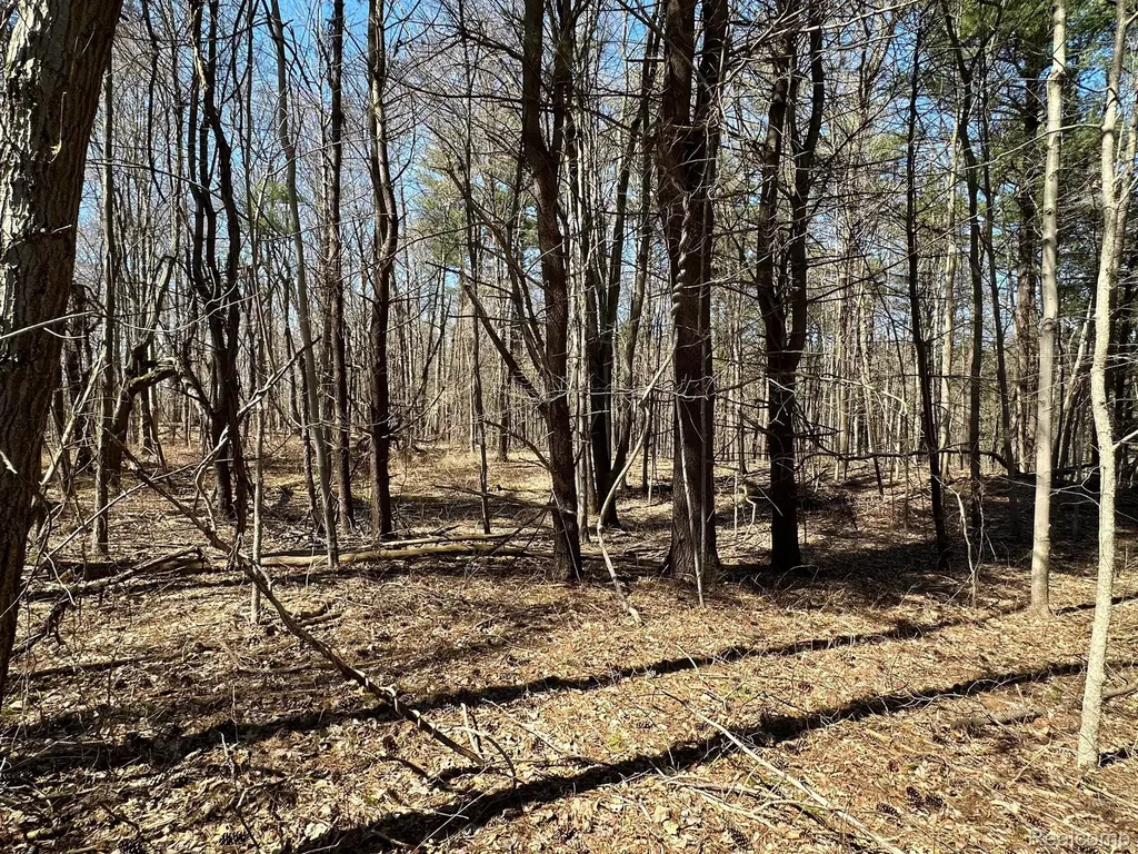 11.01 Acres Vacant Land Knights Bridge Road Addison Township MI 48367