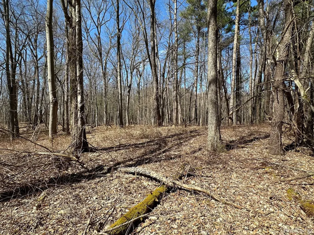 11.01 Acres Vacant Land Knights Bridge Road Addison Township MI 48367