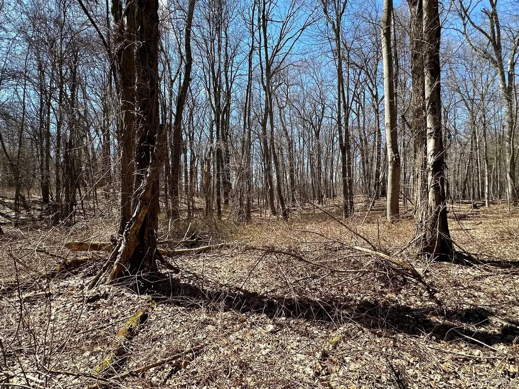 11.01 Acres Vacant Land Knights Bridge Road Addison Township MI 48367