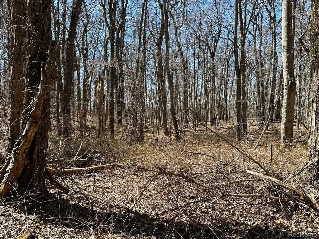 11.01 Acres Vacant Land Knights Bridge Road Addison Township MI 48367