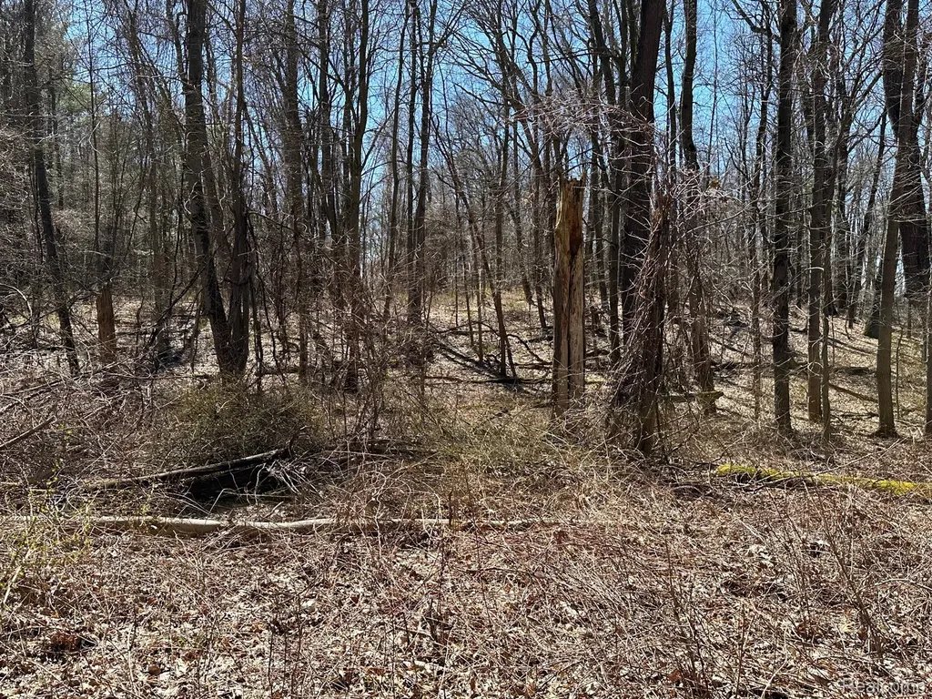 11.01 Acres Vacant Land Knights Bridge Road Addison Township MI 48367