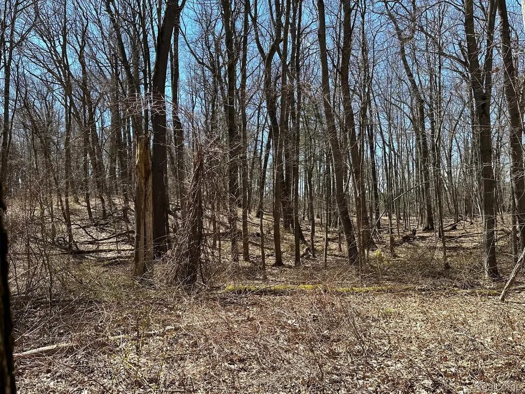 11.01 Acres Vacant Land Knights Bridge Road Addison Township MI 48367