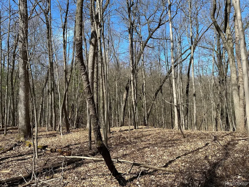 11.01 Acres Vacant Land Knights Bridge Road Addison Township MI 48367