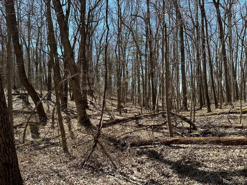 11.01 Acres Vacant Land Knights Bridge Road Addison Township MI 48367