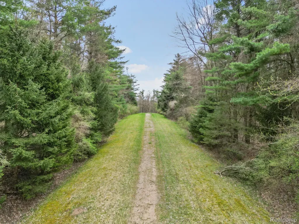 11.01 Acres Vacant Land Knights Bridge Road Addison Township MI 48367