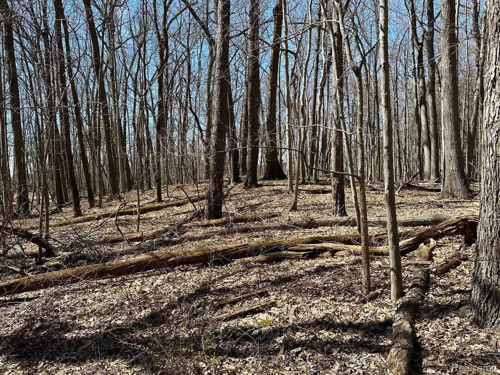 11.01 Acres Vacant Land Knights Bridge Road Addison Township MI 48367