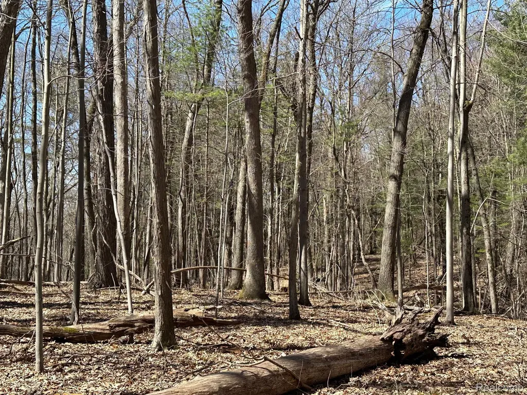 11.01 Acres Vacant Land Knights Bridge Road Addison Township MI 48367