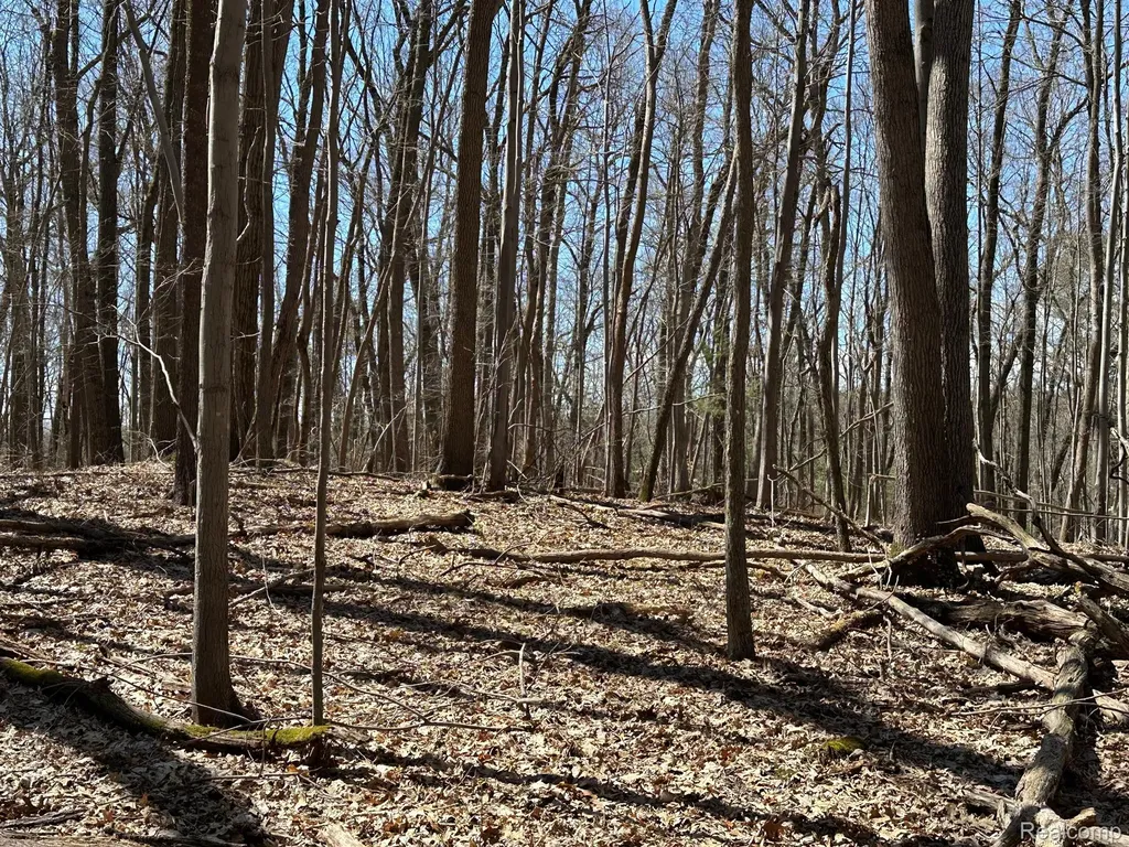 11.01 Acres Vacant Land Knights Bridge Road Addison Township MI 48367