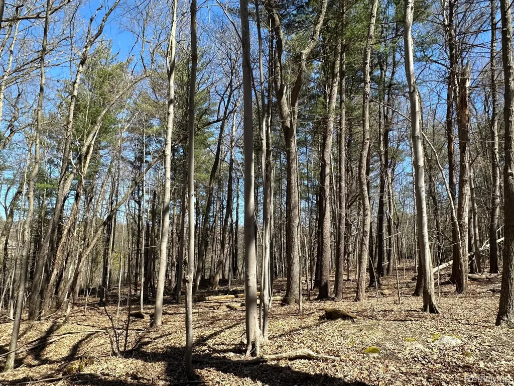 11.01 Acres Vacant Land Knights Bridge Road Addison Township MI 48367