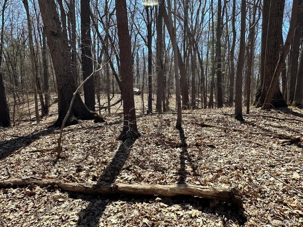 11.01 Acres Vacant Land Knights Bridge Road Addison Township MI 48367
