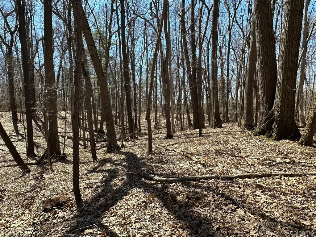 11.01 Acres Vacant Land Knights Bridge Road Addison Township MI 48367