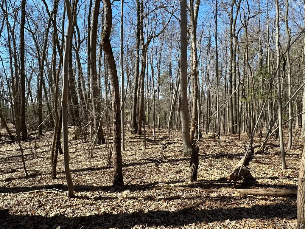 11.01 Acres Vacant Land Knights Bridge Road Addison Township MI 48367