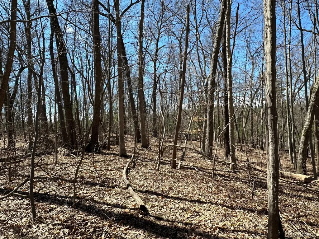 11.01 Acres Vacant Land Knights Bridge Road Addison Township MI 48367