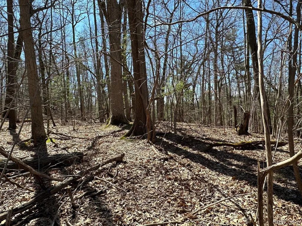 11.01 Acres Vacant Land Knights Bridge Road Addison Township MI 48367