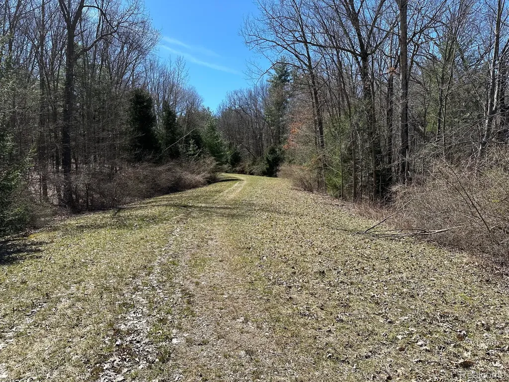 11.01 Acres Vacant Land Knights Bridge Road Addison Township MI 48367