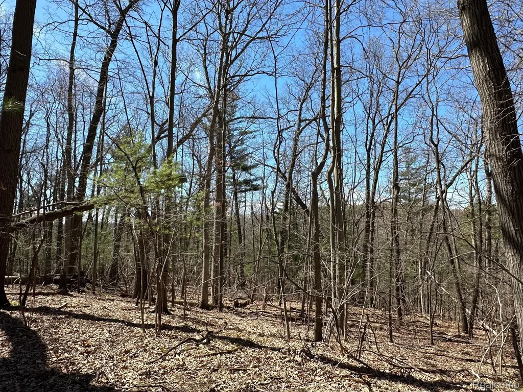 11.01 Acres Vacant Land Knights Bridge Road Addison Township MI 48367